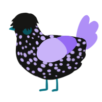 jagsus, a black and lilac chicken with a speckle pattern