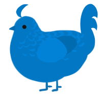 A sapphire chicken with a half-lace pattern