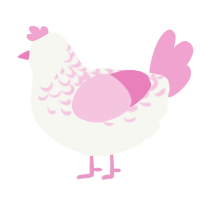 (unnamed), a white and pink chicken with a half-lace pattern
