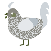 (unnamed), a ash and mist chicken with a double-lace pattern