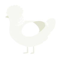 NECKBAR FLASHBANG, a white chicken with a neck-band pattern