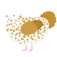 Tiny, a white and gold chicken with a speckle pattern