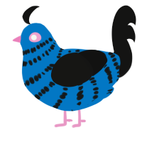 Thirty-800, a sapphire and black chicken with a bar pattern