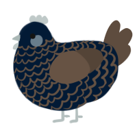 A tumblr and bark chicken with a lace pattern