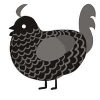 questionnaire, a sable and grey chicken with a lace pattern