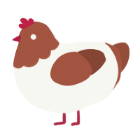 (unnamed), a white and russet chicken with a head pattern