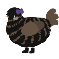 A black and bark chicken with a bar pattern