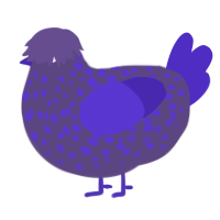 Luminescent, a overcast and indigo chicken with a speckle pattern