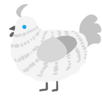 A white and silver chicken with a bar pattern
