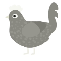 (unnamed), a ash chicken with a speckle pattern