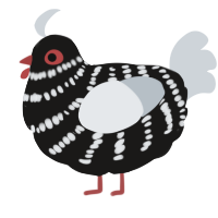 (unnamed), a sable and mist chicken with a bar pattern