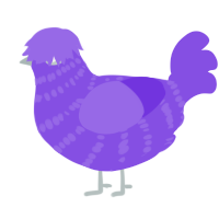 A blurple chicken with a bar pattern