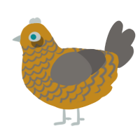 Brute, a ochre and grey chicken with a lace pattern