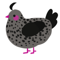 Blacky, a grey and black chicken with a speckle pattern