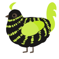 A sable and lime chicken with a bar pattern