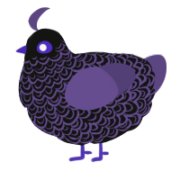 (unnamed), a black and overcast chicken with a double-lace pattern