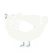 Haunt, a white chicken with a half-lace pattern
