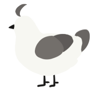 Blind, a white and grey chicken