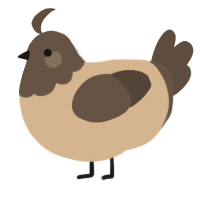 (unnamed), a beige and bark chicken with a head pattern
