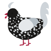 Asteroid Belt, a sable and mist chicken with a speckle pattern