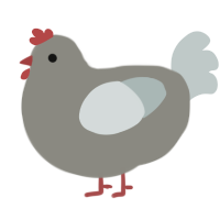 Gary, a ash and silver chicken
