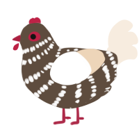 A bark and cream chicken with a bar pattern