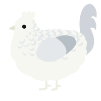 A white and mist chicken with a half-lace pattern