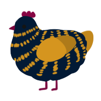 Au, a tumblr and ochre chicken with a bar pattern