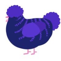 Black Light, a navy and indigo chicken with a half-bar pattern