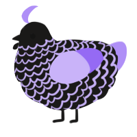 A sable and lilac chicken with a lace pattern