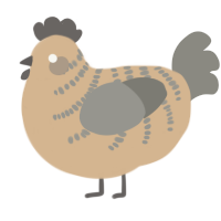 Sandbox, a beige and ash chicken with a half-bar pattern