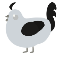 Onyx, a mist and sable chicken