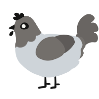 Argon, a mist and grey chicken with a head pattern