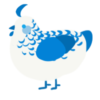 Sapphire Lace, a white and sapphire chicken with a half-lace pattern
