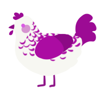 Plum Lace, a white and plum chicken with a half-lace pattern