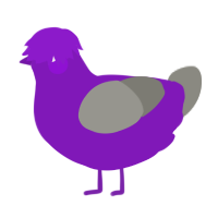 Purple grape, a violet and ash chicken