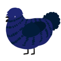 Navy 2, a navy and tumblr chicken with a bar pattern