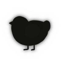Responsibility, a black chicken