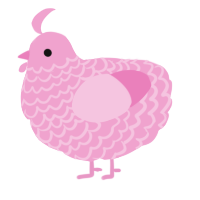 pink, a pink chicken with a lace pattern