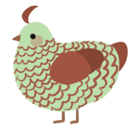wiwi, a gluppy and russet chicken with a lace pattern