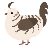 birch, a cream and bark chicken with a half-bar pattern