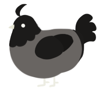 (unnamed), a grey and sable chicken with a head pattern