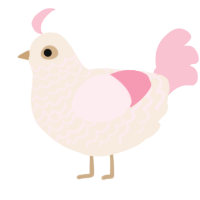 Strawberry milk, a cream and rose chicken with a lace pattern