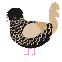 (unnamed), a sable and beige chicken with a lace pattern