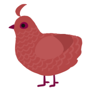A red chicken with a lace pattern