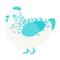 Aqua Lace, a white and aqua chicken with a half-lace pattern