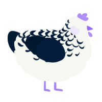 A white and tumblr chicken with a half-lace pattern