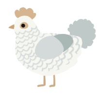A white and silver chicken with a lace pattern