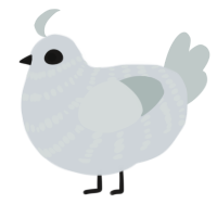 haunted child, a mist and silver chicken with a bar pattern
