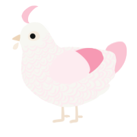 A white and rose chicken with a double-lace pattern